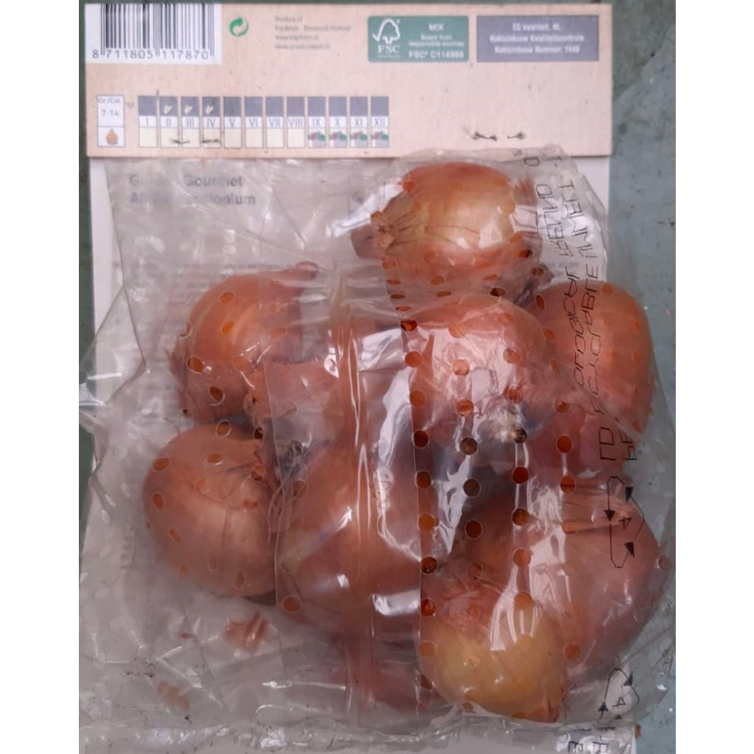 BULBI DI SCALOGNO GOLDEN GOURMET Bulbo Orto Kapiteyn