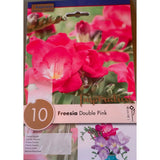 BULBI FREESIA DOUBLE PINK Bulbi Autunnali Kapiteyn