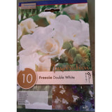 BULBI FREESIA DOUBLE WHITE