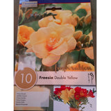 BULBI FREESIA DOUBLE YELLOW Bulbi Autunnali Kapiteyn