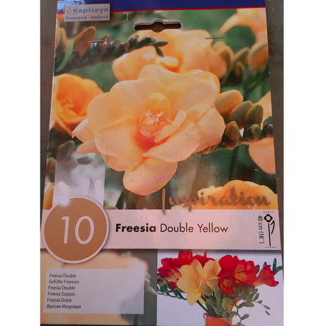 BULBI FREESIA DOUBLE YELLOW Bulbi Autunnali Kapiteyn