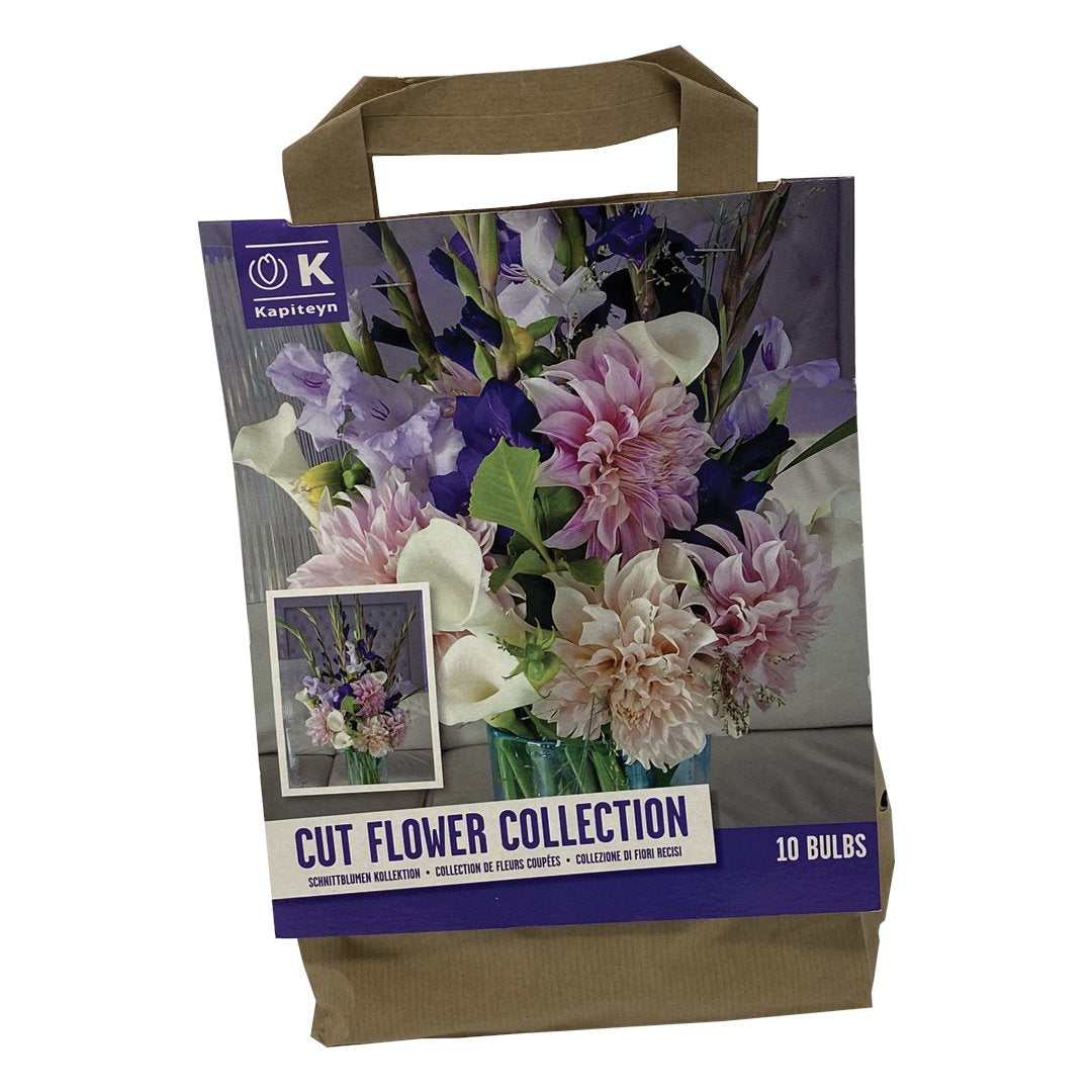 BUSTA BULBI FIORI DA RECIDERE Bulbi Primaverili Kapiteyn