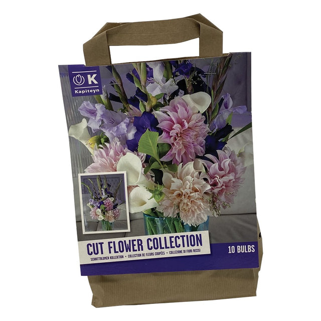 BUSTA BULBI FIORI DA RECIDERE Bulbi Primaverili Kapiteyn