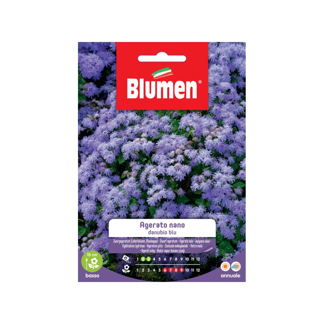 BUSTINA SEMENTI AGERATO NANO BLU Sementi Fiori Blumen