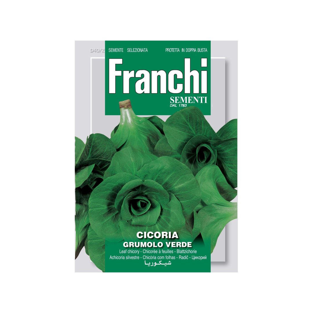 BUSTINA SEMENTI CICORIA GRUMOLO VERDE Sementi Orto Franchi