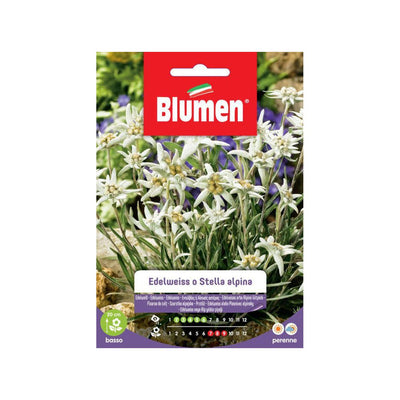 BUSTINA SEMENTI EDELWEISS O STELLA ALPINA Sementi Fiori Blumen