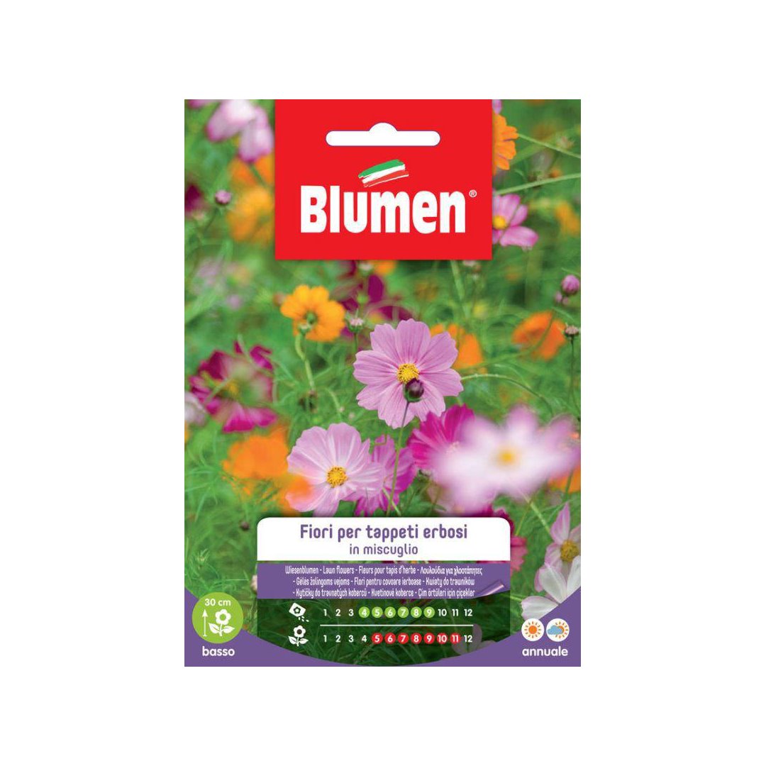 BUSTINA SEMENTI FIORI IN MIX TAPPETI ERBOSI Sementi Fiori Blumen