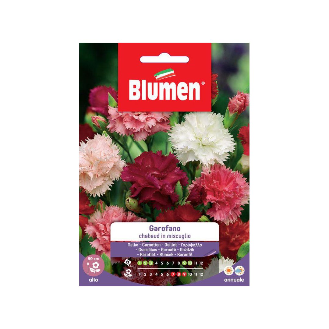 BUSTINA SEMENTI GAROFANO CHABAUD IN MIX Sementi Fiori Blumen