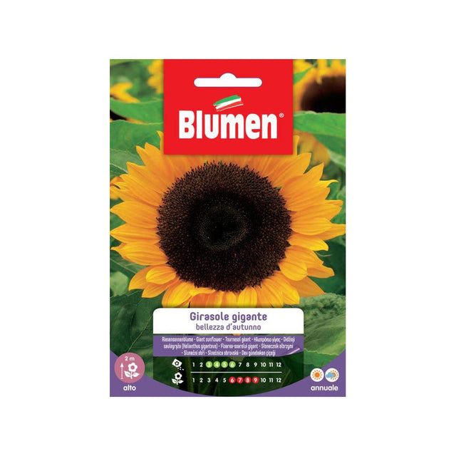 BUSTINA SEMENTI GIRASOLE GIGANTE Sementi Fiori Blumen