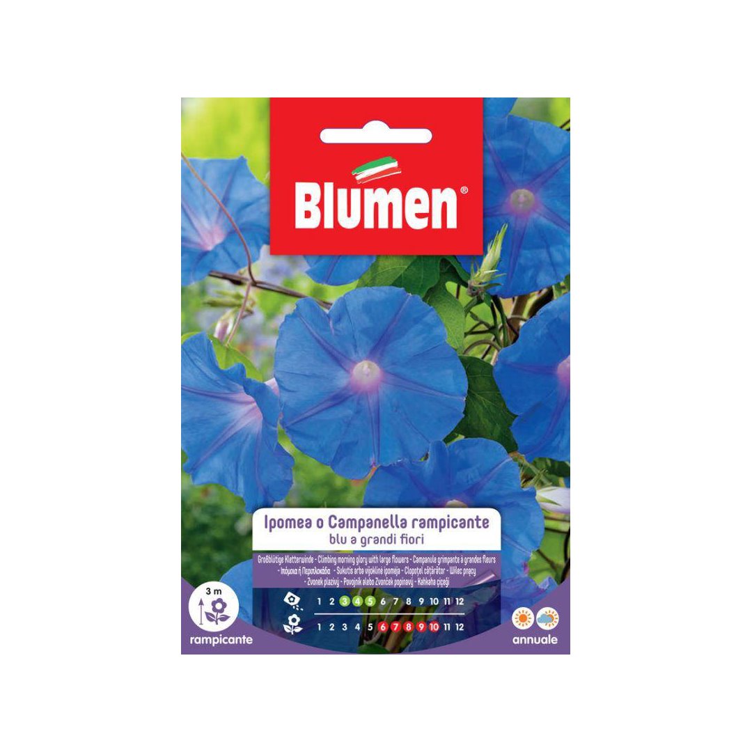 BUSTINA SEMENTI IPOMEA BLU Sementi Fiori Blumen