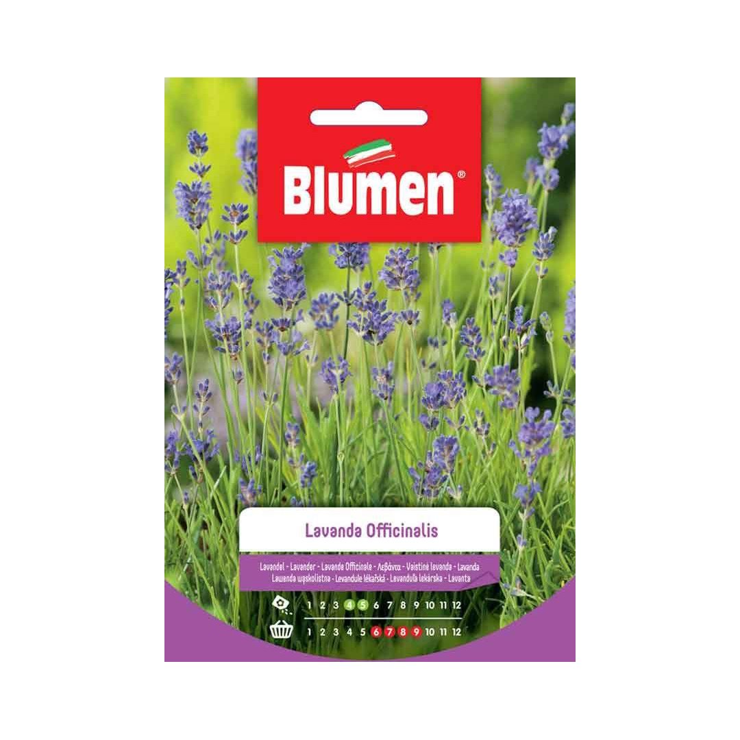 BUSTINA SEMENTI LAVANDA OFFICINALIS Sementi Orto Blumen