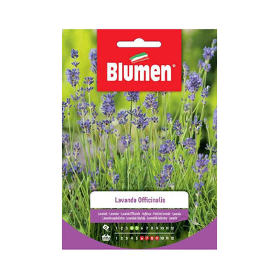 BUSTINA SEMENTI LAVANDA OFFICINALIS Sementi Orto Blumen