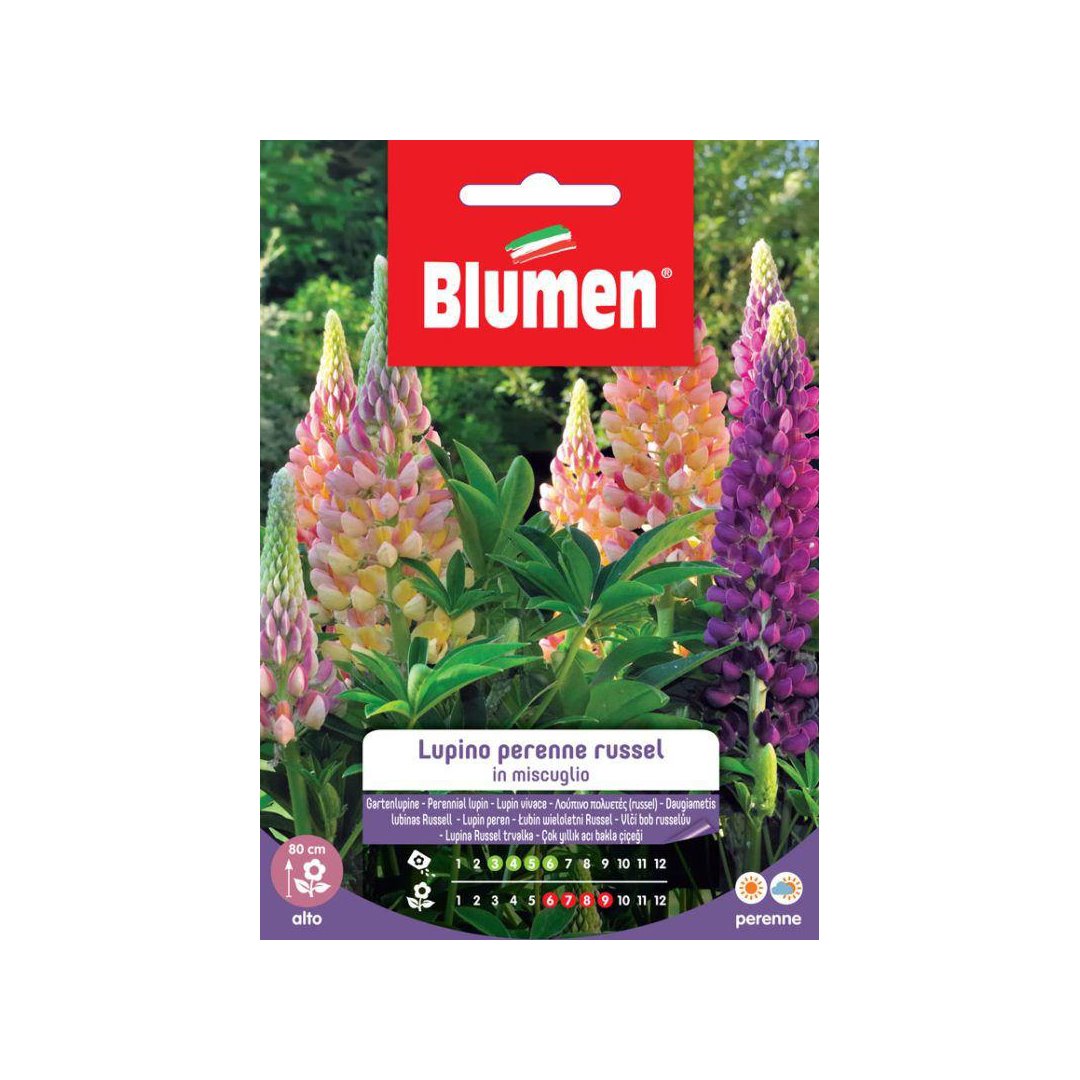 BUSTINA SEMENTI LUPINO RUSSEL MIX Sementi Fiori Blumen