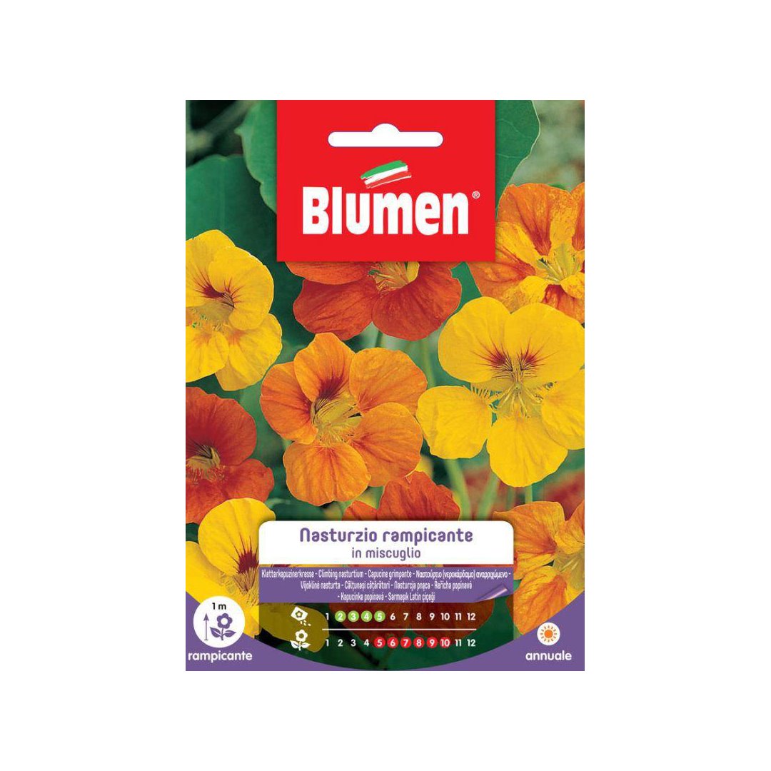 BUSTINA SEMENTI NASTURZIO RAMPICANTE MIX Sementi Fiori Blumen