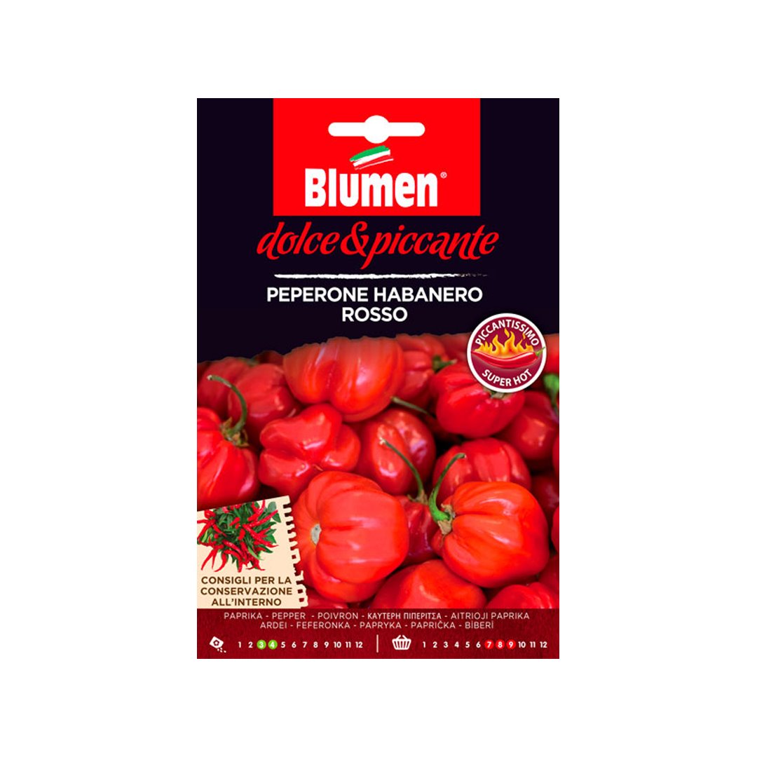 BUSTINA SEMENTI PEPERONE HABANERO ROSSO Sementi Orto Blumen