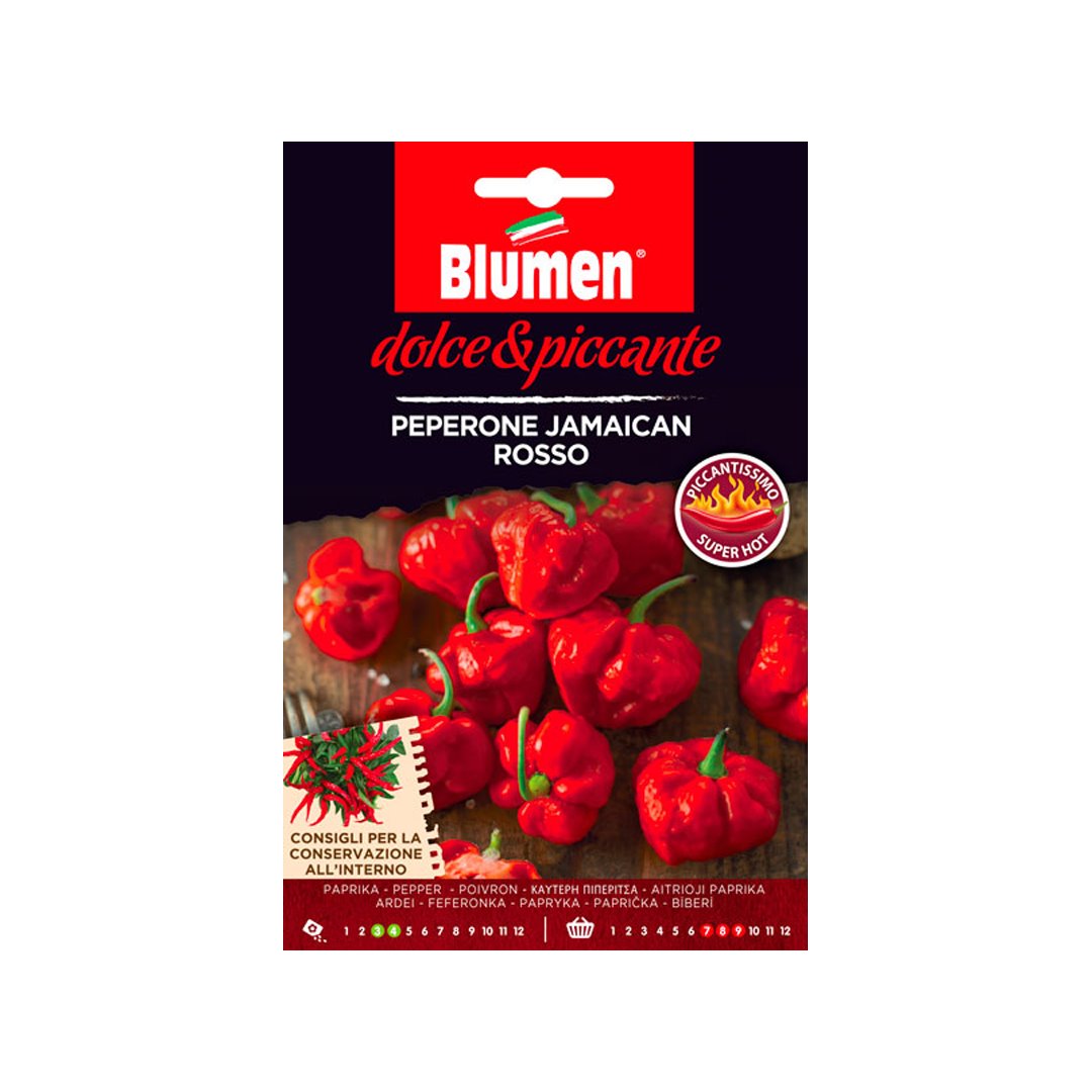 BUSTINA SEMENTI PEPERONE JAMAICAN ROSSO Sementi Orto Blumen