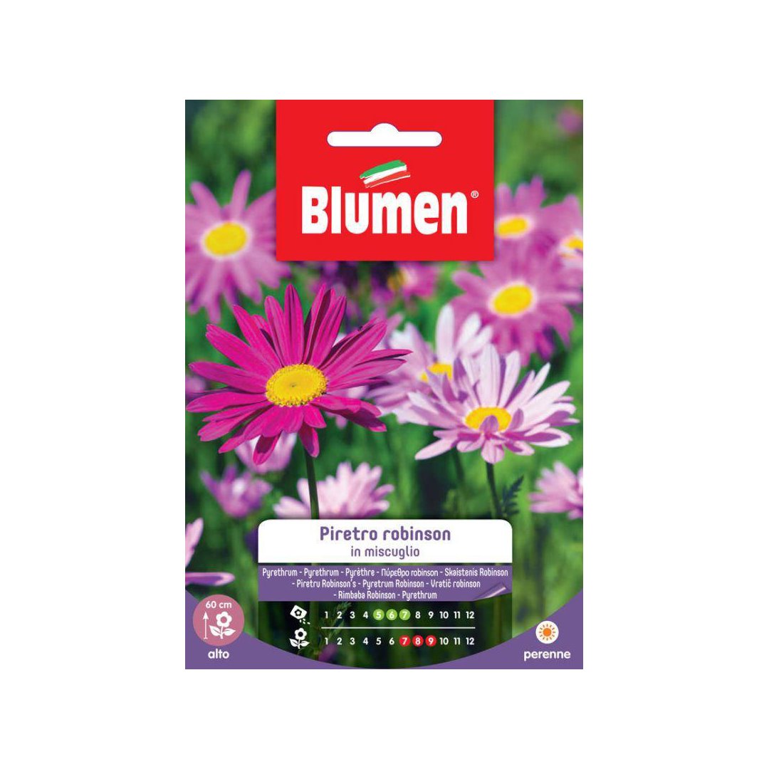 BUSTINA SEMENTI PIRETRO ROBINSON MIX Sementi Fiori Blumen