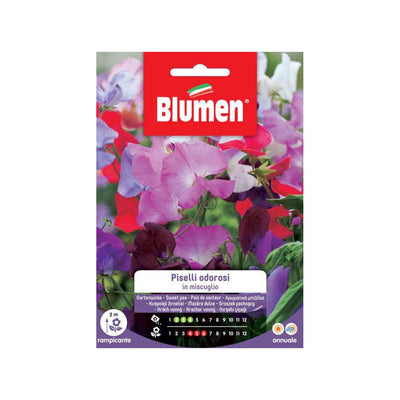 BUSTINA SEMENTI PISELLI ODOROSI MIX Sementi Fiori Blumen