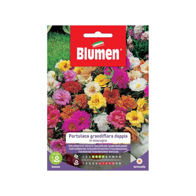 BUSTINA SEMENTI PORTULACA GRANDIFLORA DOPPIA MIX Sementi Fiori Blumen