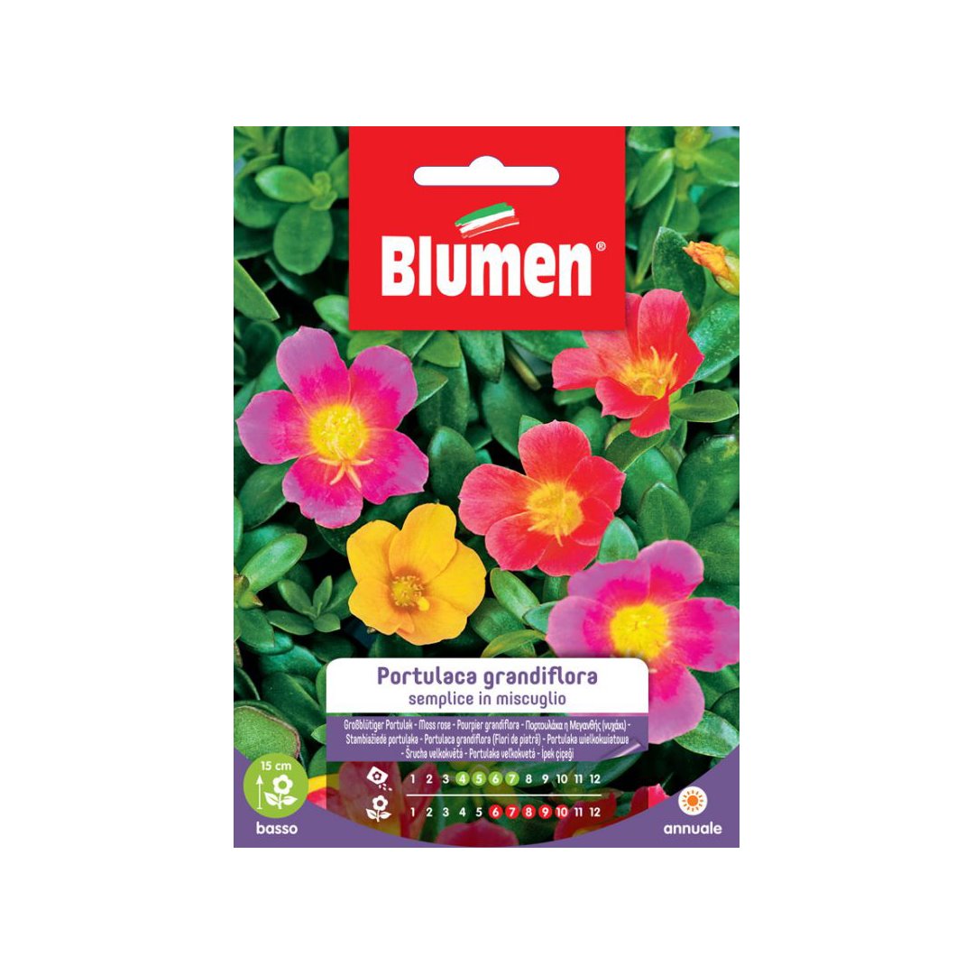 BUSTINA SEMENTI PORTULACA GRANDIFLORA SEMPLICE MIX Sementi Fiori Blumen