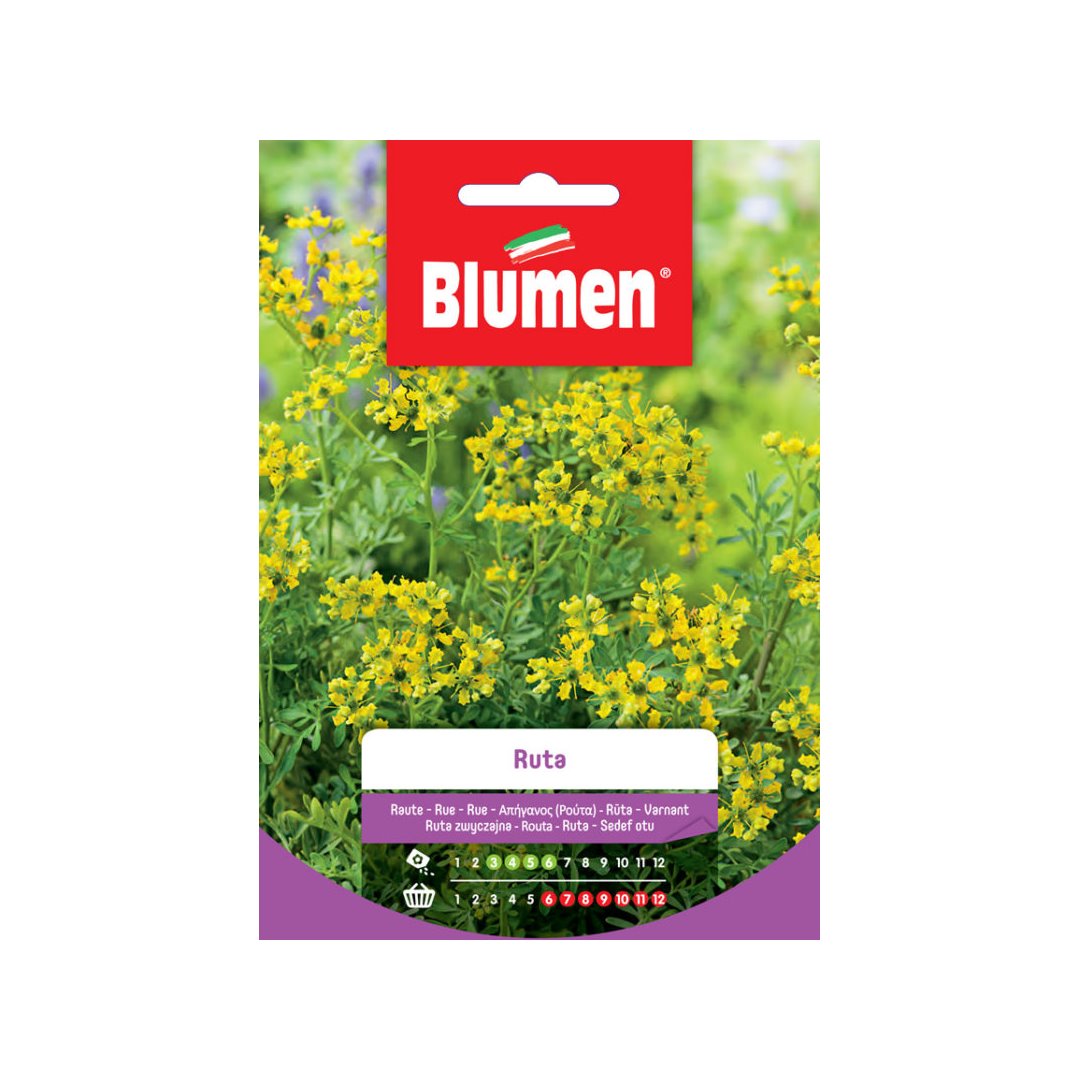 BUSTINA SEMENTI RUTA Sementi Fiori Blumen