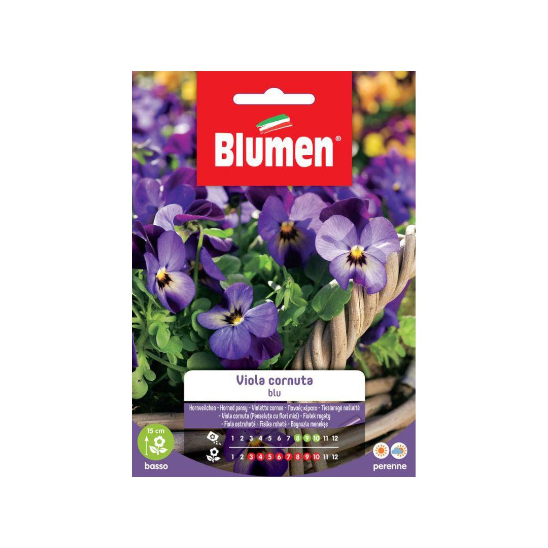 BUSTINA SEMENTI VIOLA CORNUTA BLU Sementi Fiori Blumen
