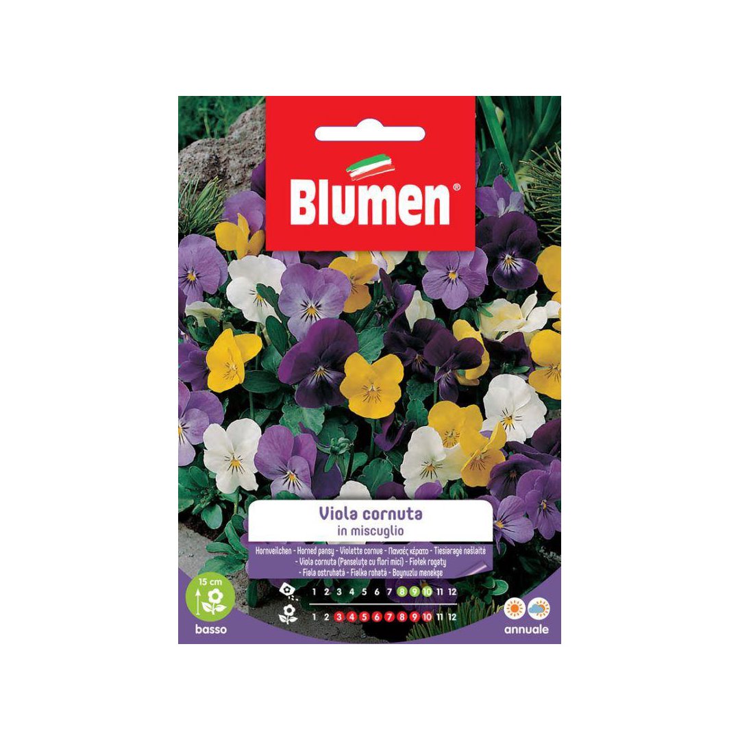 BUSTINA SEMENTI VIOLA CORNUTA IN MIX Sementi Fiori Blumen