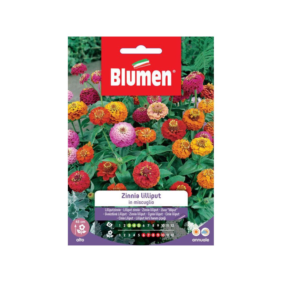 BUSTINA SEMENTI ZINNIA LILLIPUT MIX Sementi Fiori Blumen