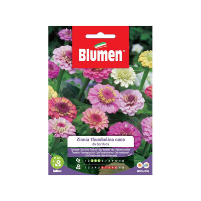 BUSTINA SEMENTI ZINNIA THUMBELINA NANA BORDURA Sementi Fiori Blumen