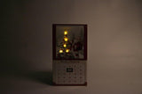 Calendario 5 LED Babbo Natale Quadro a led Garden Team