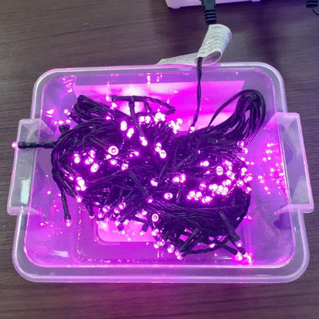 Catena 480 LED - Catena luminosa Natale