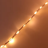 Catena Luminosa 625 MicroLED USO ESTERNO Cavo Metallico Luci Albero di Natale BIA Home & Garden