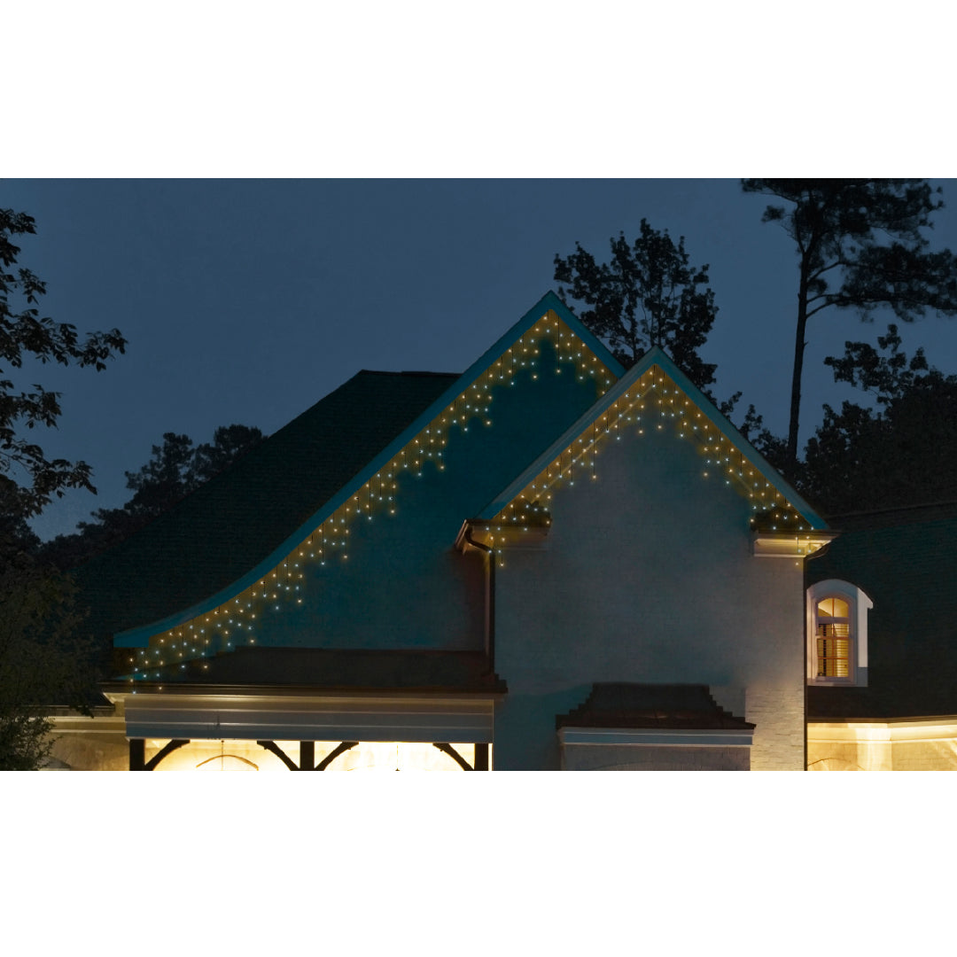 Tenda luci di Natale Luce Bianca Calda / Fredda (Cavo Nero)