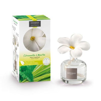 Diffusore a fiore con profumo citronelle e menthe Diffusori Ambiente ESTEBAN