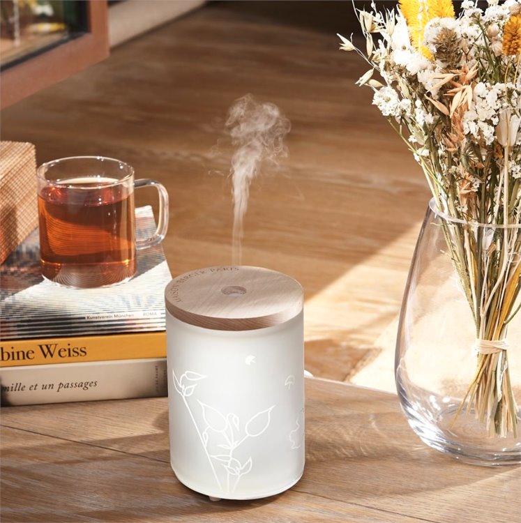 Diffusore Elettrico per Ambienti Aroma Energy Diffusori Ambiente LAMPE BERGER