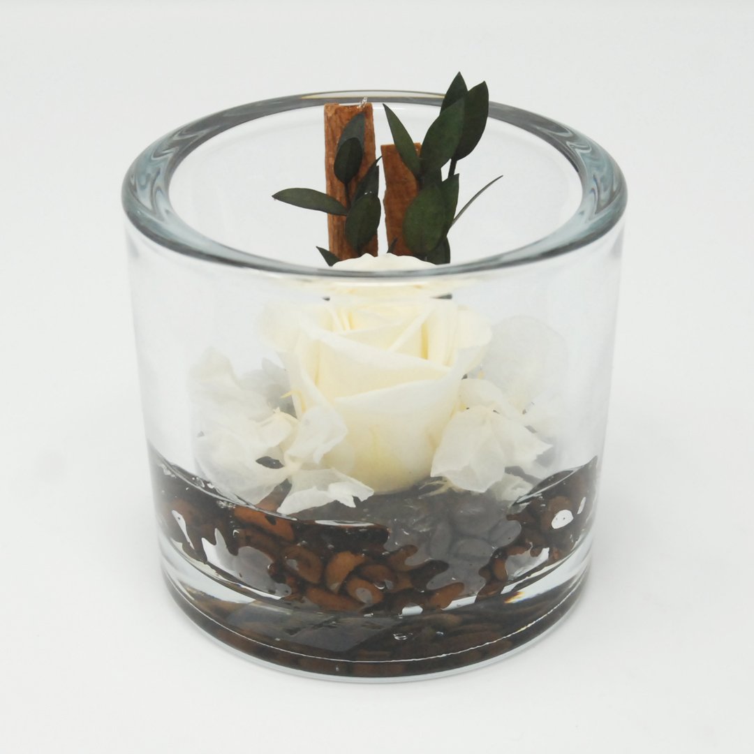 FLOWERCUBE CILINDRO ROSA STABILIZZATA PICCOLA 8X8 Rose Stabilizzate Flower Cube
