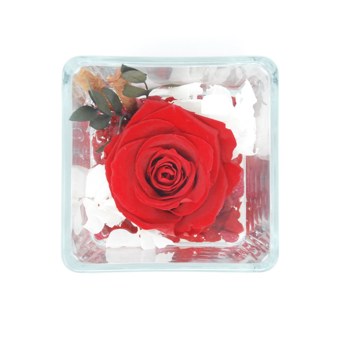 FLOWERCUBE CUBO FONDO EFFETTO PIETRA 10X10 Rose Stabilizzate Flower Cube