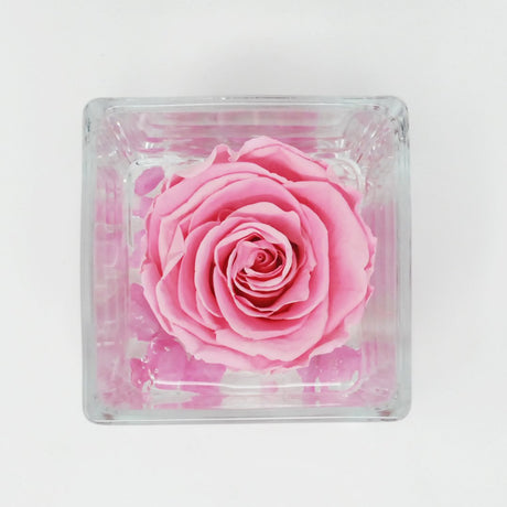 FLOWERCUBE CUBO FONDO EFFETTO PIETRA 8X8 Rose Stabilizzate Flower Cube