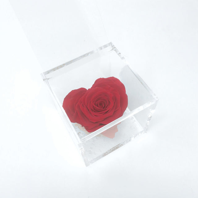 FLOWERCUBE ROSA CUORE 10x10 CM ROSSO Rose Stabilizzate Flower Cube