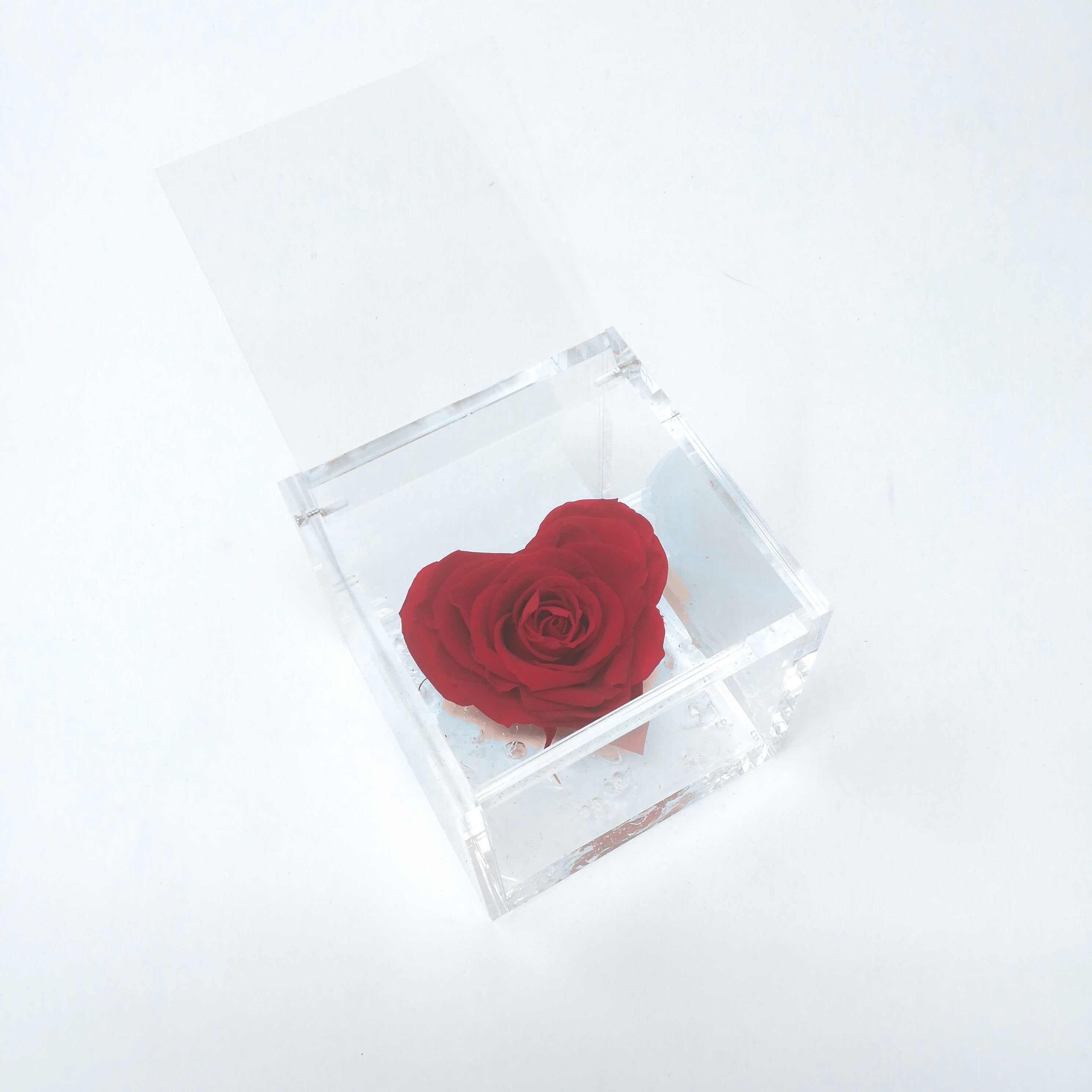 FLOWERCUBE ROSA CUORE 8x8 CM ROSSO Rose Stabilizzate Flower Cube