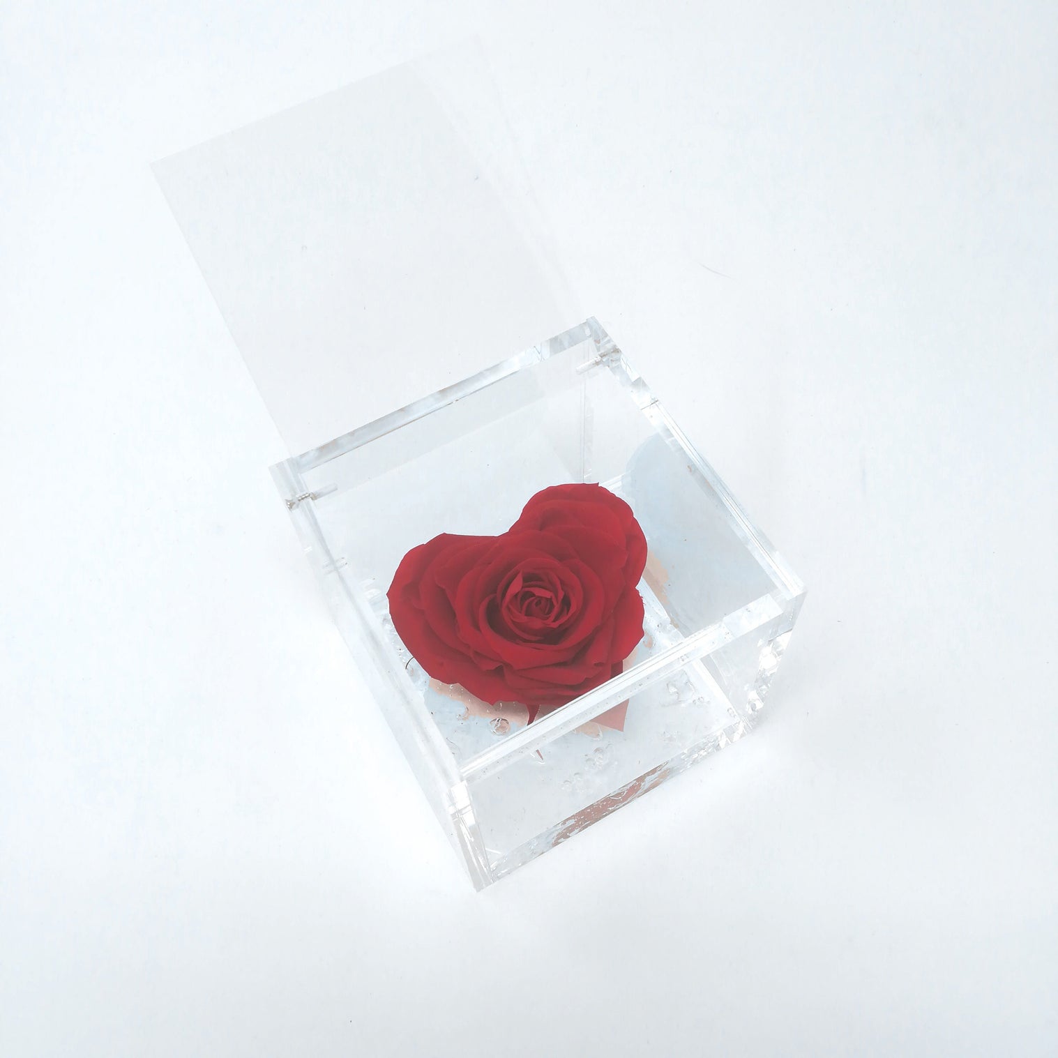 FLOWERCUBE ROSA CUORE 8x8 CM ROSSO Rose Stabilizzate Flower Cube