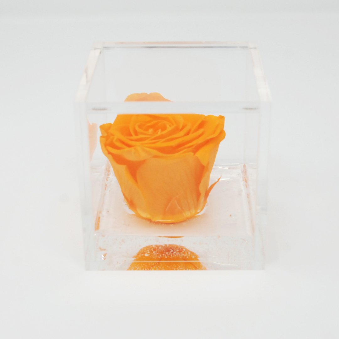 FLOWERCUBE ROSA STABILIZZATA 6X6 - ARANCIONE Rose Stabilizzate Flower Cube