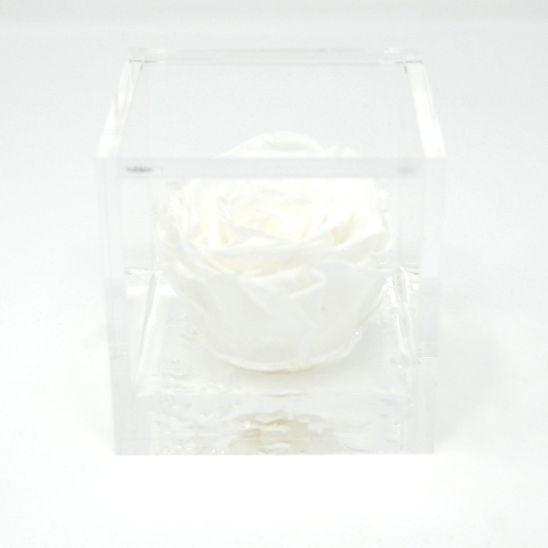 FLOWERCUBE ROSA STABILIZZATA 6X6 - BIANCA Rose Stabilizzate Flower Cube