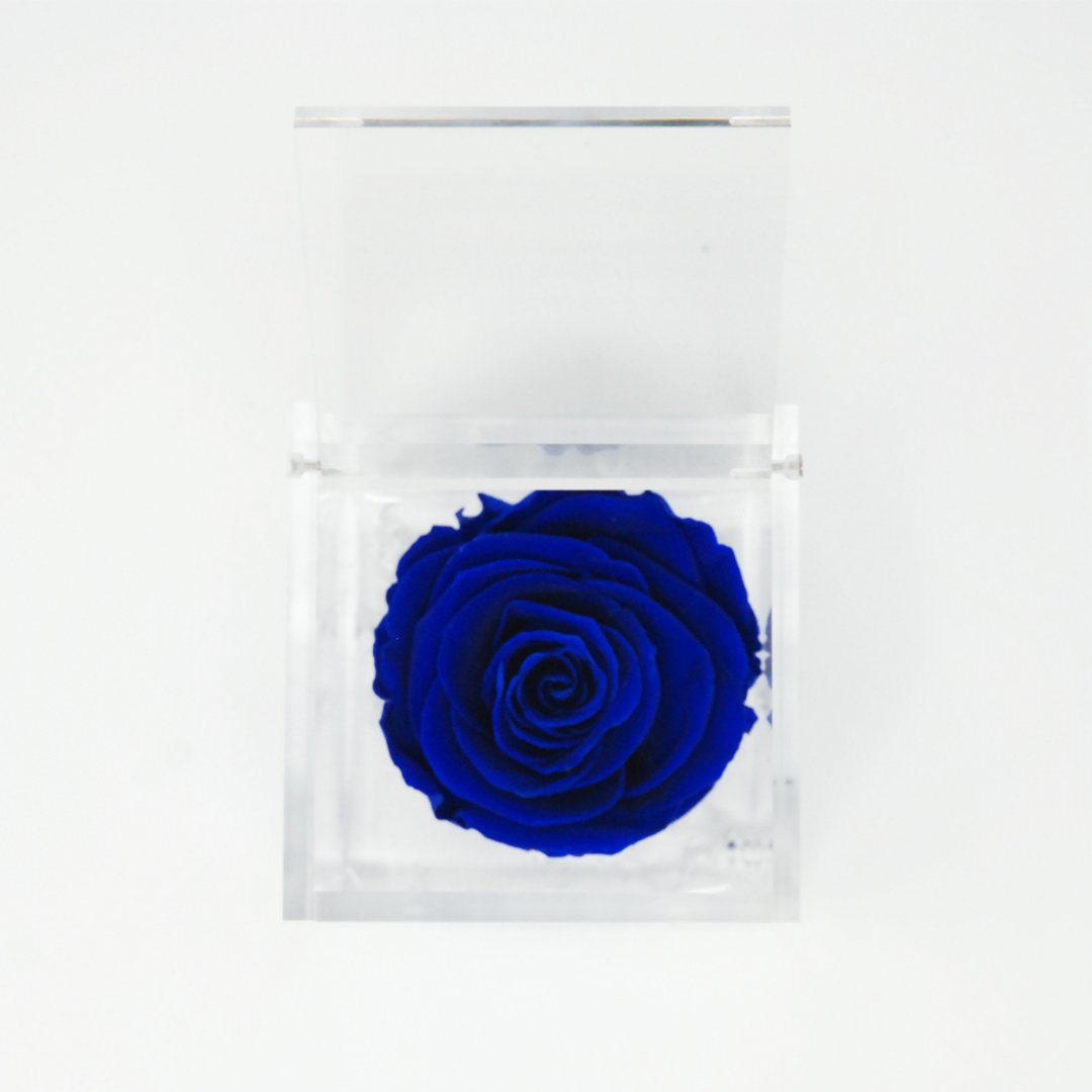 FLOWERCUBE ROSA STABILIZZATA 6X6 - BLU Rose Stabilizzate Flower Cube