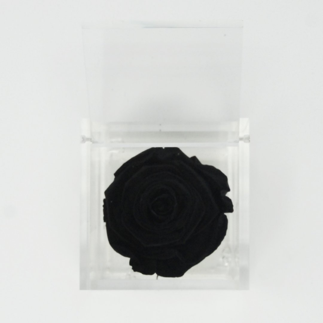 FLOWERCUBE ROSA STABILIZZATA 6X6 - NERO Rose Stabilizzate Flower Cube