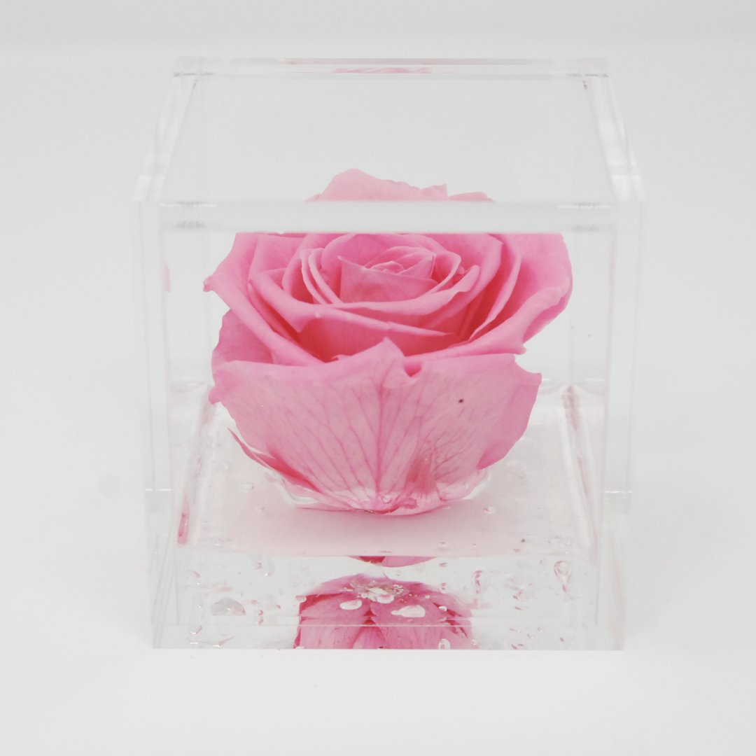 FLOWERCUBE ROSA STABILIZZATA 6X6 - ROSA Rose Stabilizzate Flower Cube