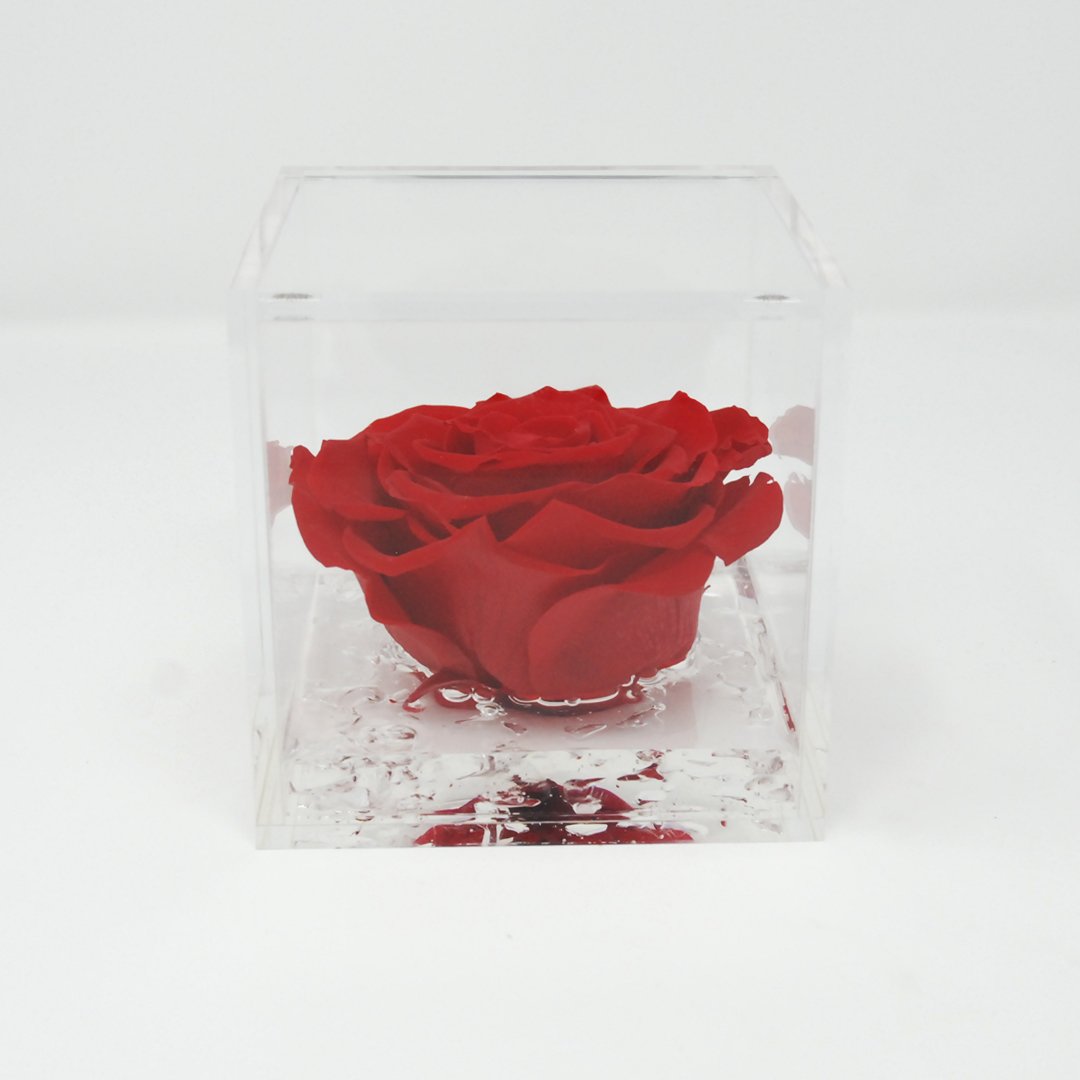 FLOWERCUBE ROSA STABILIZZATA 6X6 - ROSSO Rose Stabilizzate Flower Cube