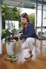 Irrigatore a Goccia Automatico Aquaflora Holiday Irrigazione Accessori G.F.