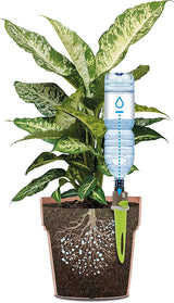 Irrigatore a Goccia Automatico Aquaflora Holiday Irrigazione Accessori G.F.