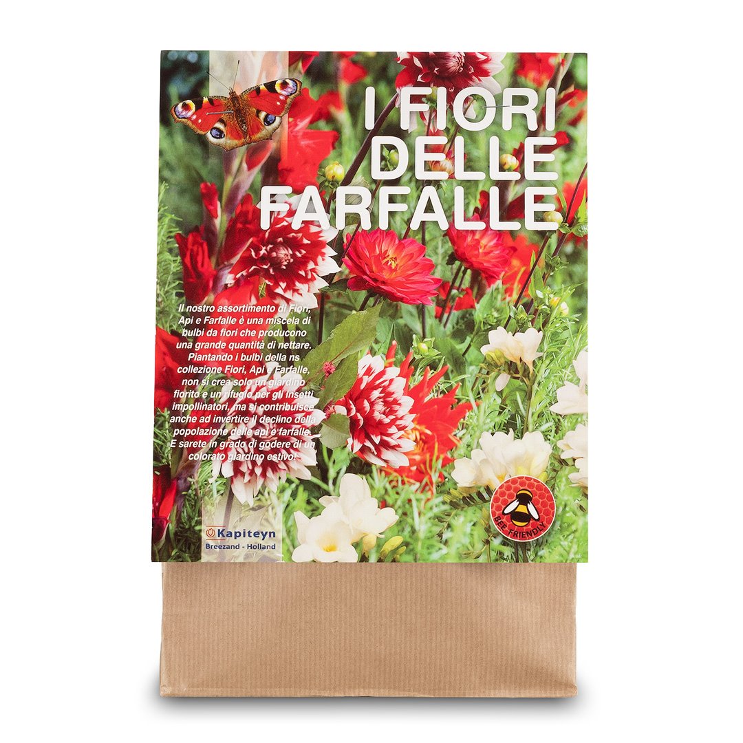 KIT BULBI ATTIRA FARFALLE TONALITÀ BIANCO ROSSO Bulbi Primaverili Kapiteyn